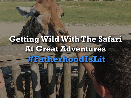 #FatherhoodIsLit Safari At Great Adventures